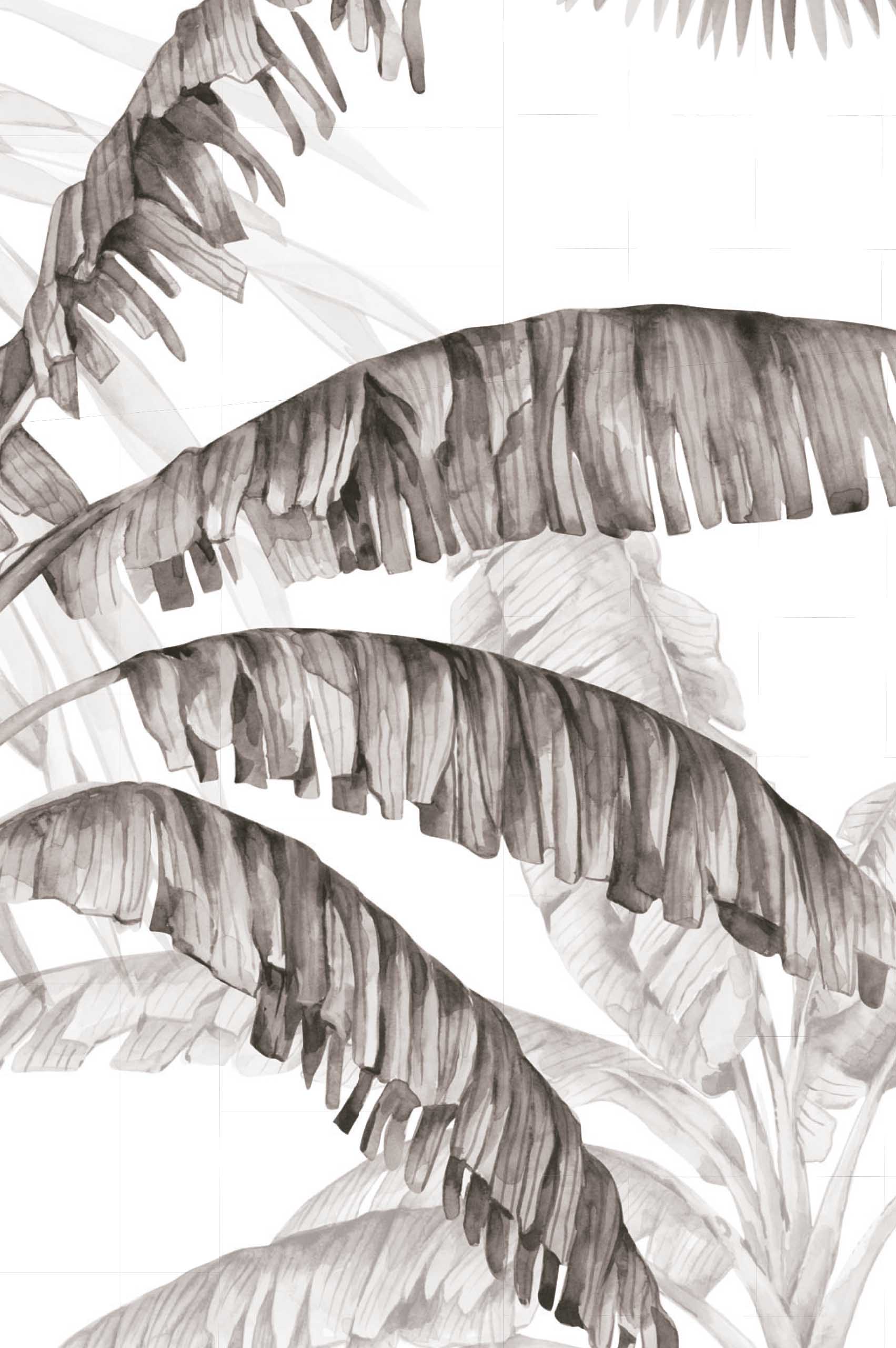 n565 noir blanc zoom