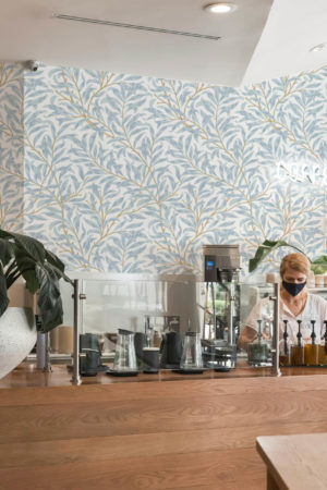 Papier peint feuilles bleu espaces publics