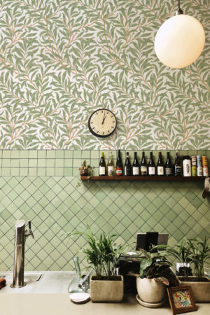 🌿 Botanical Wallpaper