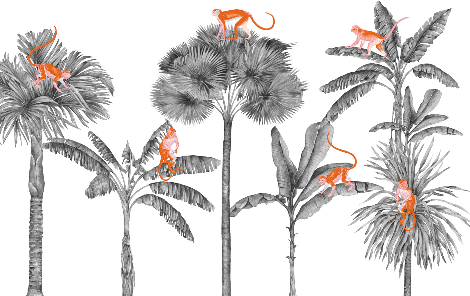 n548-white White palm tree monkey wallpaper