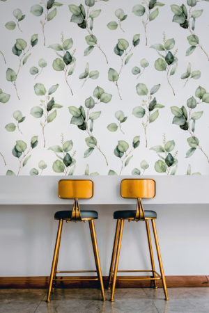 Papier peint. eucalyptus vert