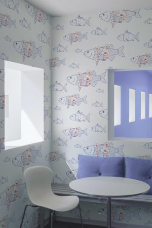 Wallpaper carp public spaces