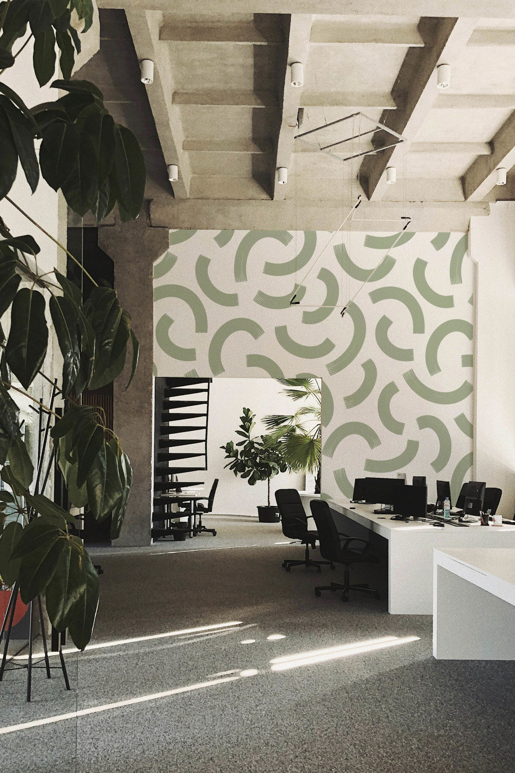 Nº629 : Dance of the Curves - green - office. N°629 : Dance of the Curves - green - office.