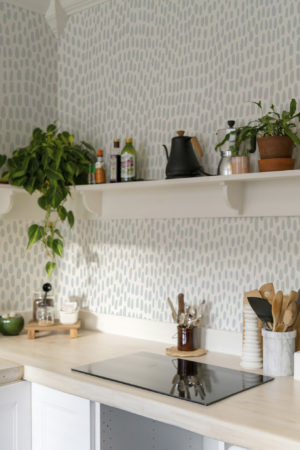 N°639 :  Grain Sauvage - bleu - cuisine.