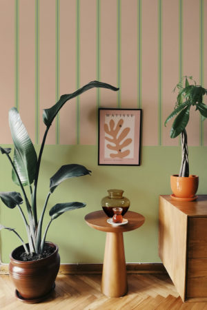 n667 vert salo-soubassement